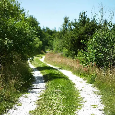 Cozy, In Unspoiled Nature