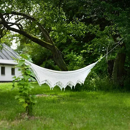 Cozy In Unspoiled Nature Holiday home